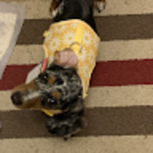 Meet your Posher, Juko